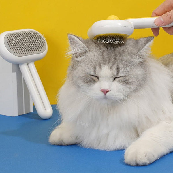 Pets Hair brush